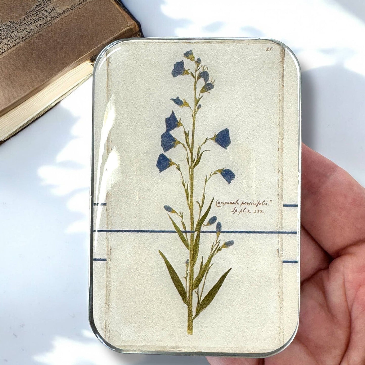 Bellflower Notions Tin: Large