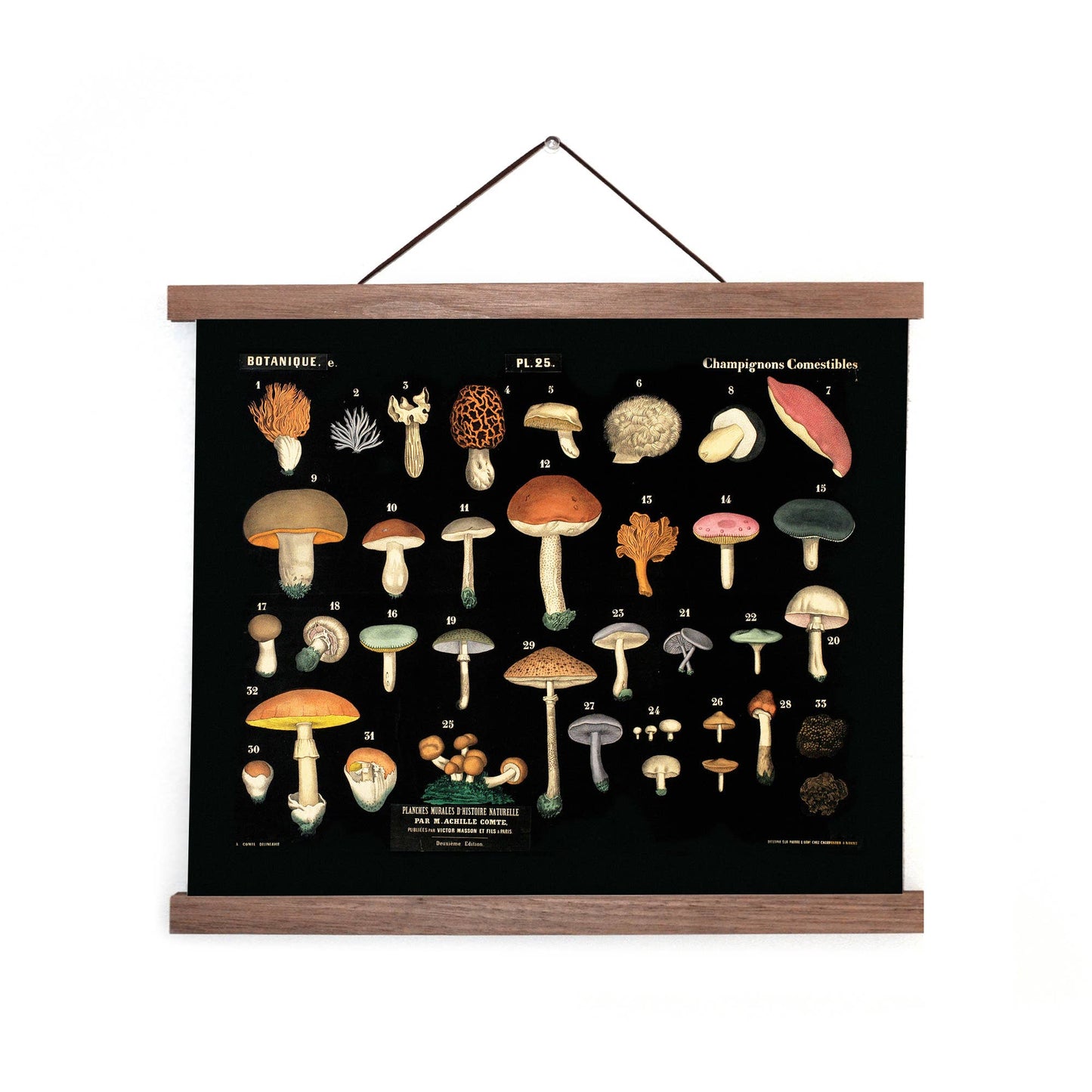 Vintage Black Mushroom Print 25 w/ optional frame: 14x11 / Print Only
