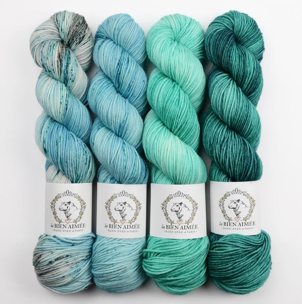 La Bien Aimée 4 Skein Fade Merino DK Bundle