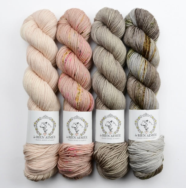 La Bien Aimée 4 Skein Fade Merino DK Bundle