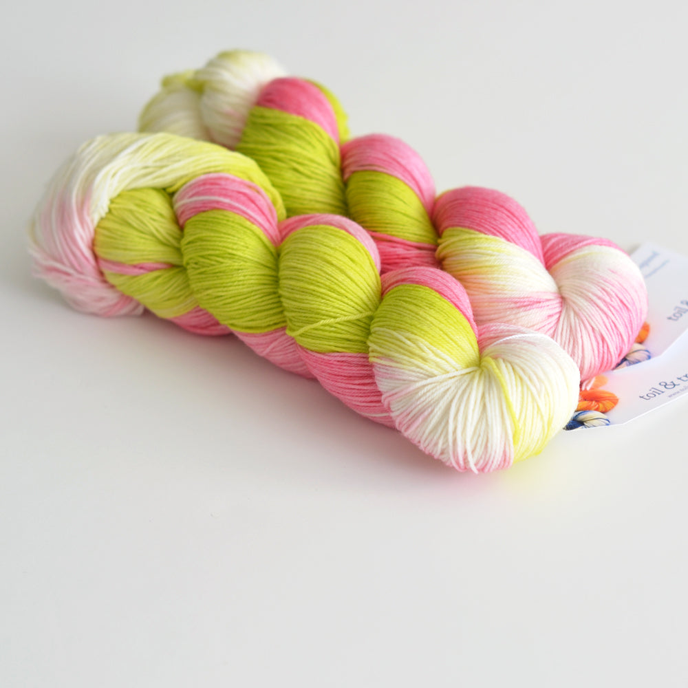 Toil & Trouble Hand Dyed Yarn - Classic Sock