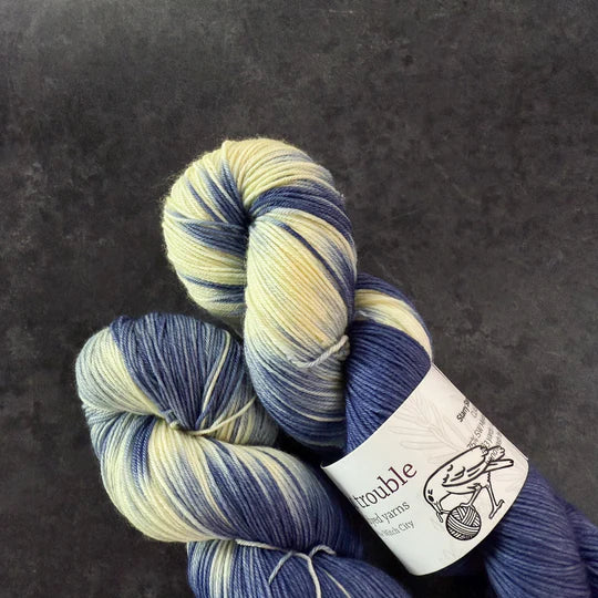 Toil & Trouble Hand Dyed Yarn - Classic Sock