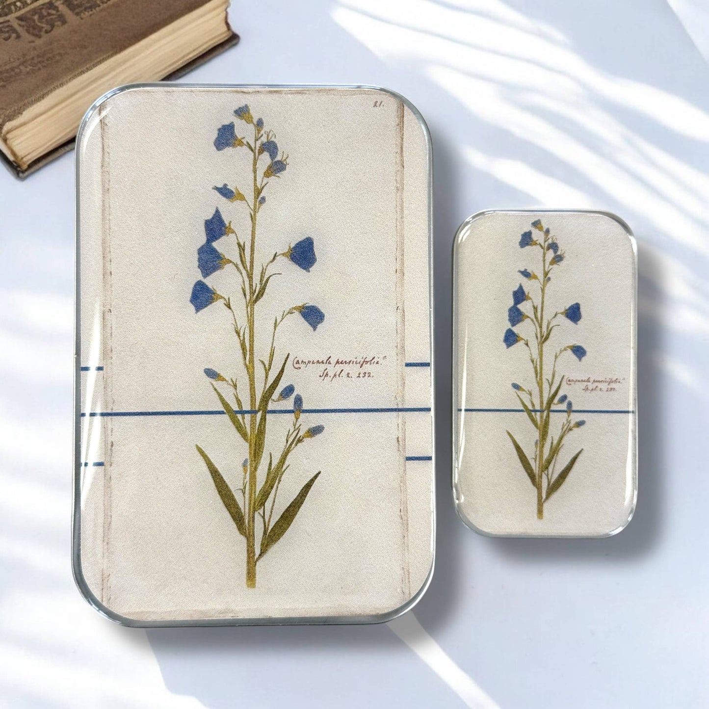 Bellflower Notions Tin: Large
