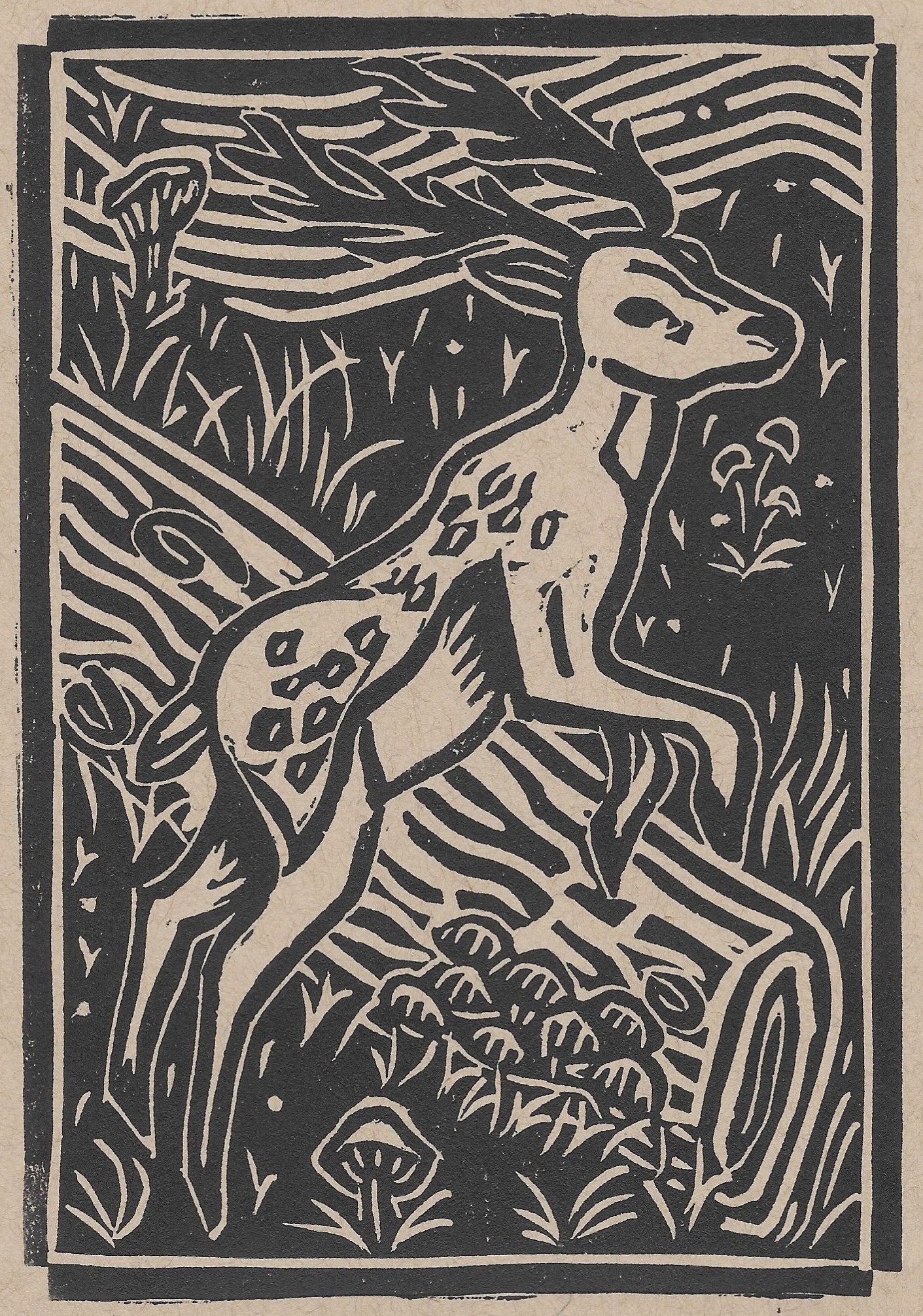 Young Stag Print by Britt & Mars