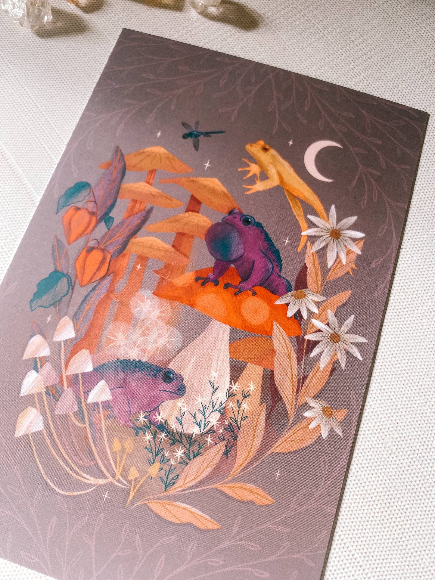 Toads & Toadstools Art Print: 8x10