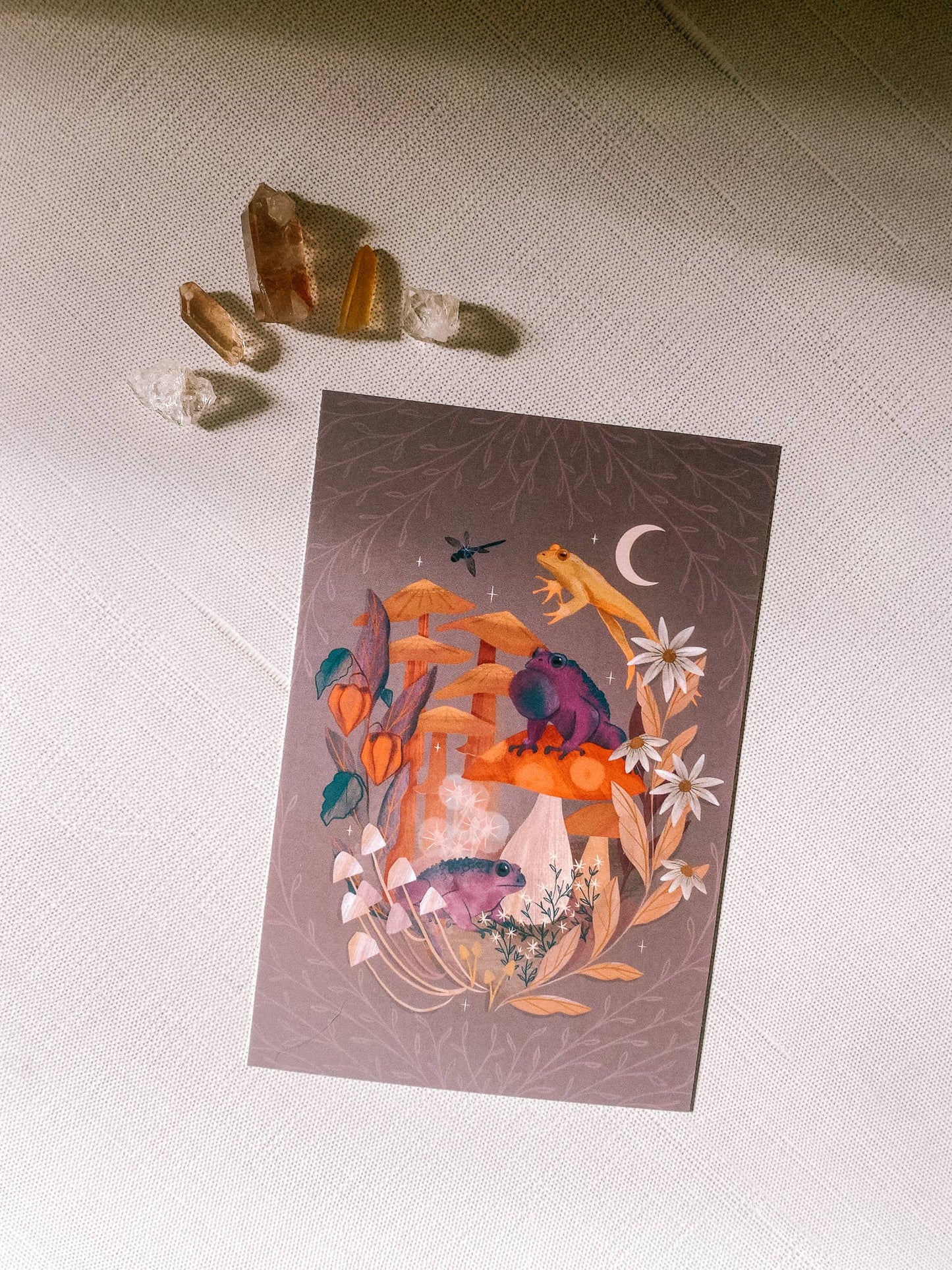Toads & Toadstools Art Print: 8x10
