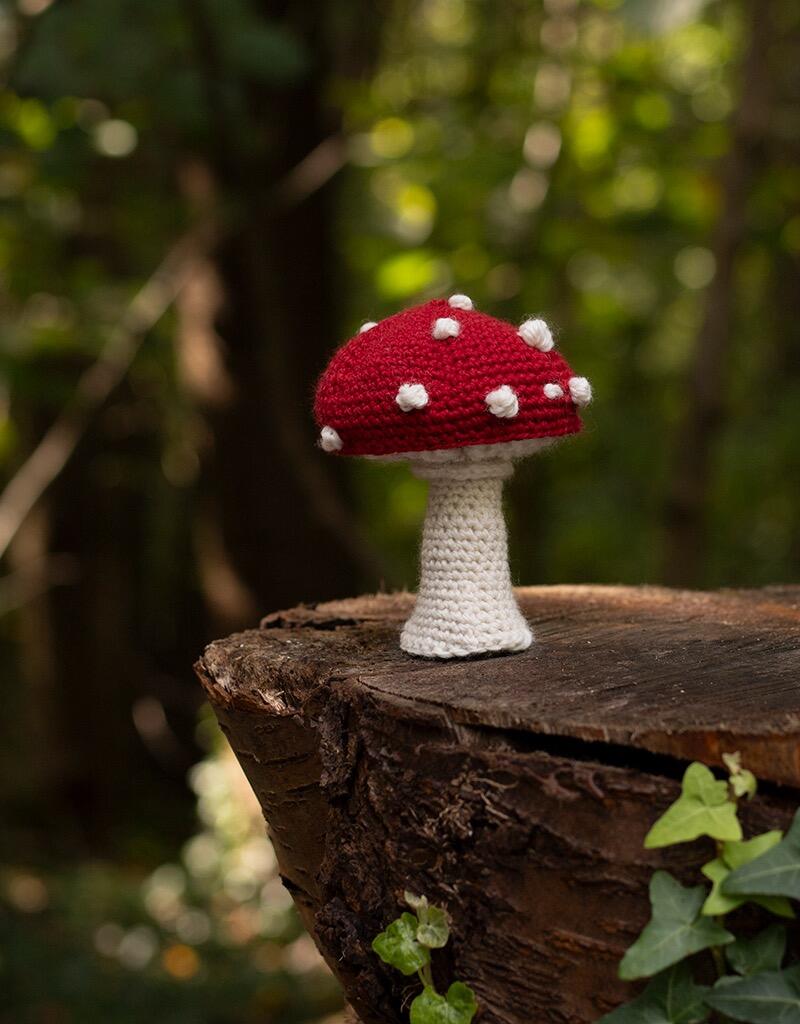 Toadstool Crochet Kit