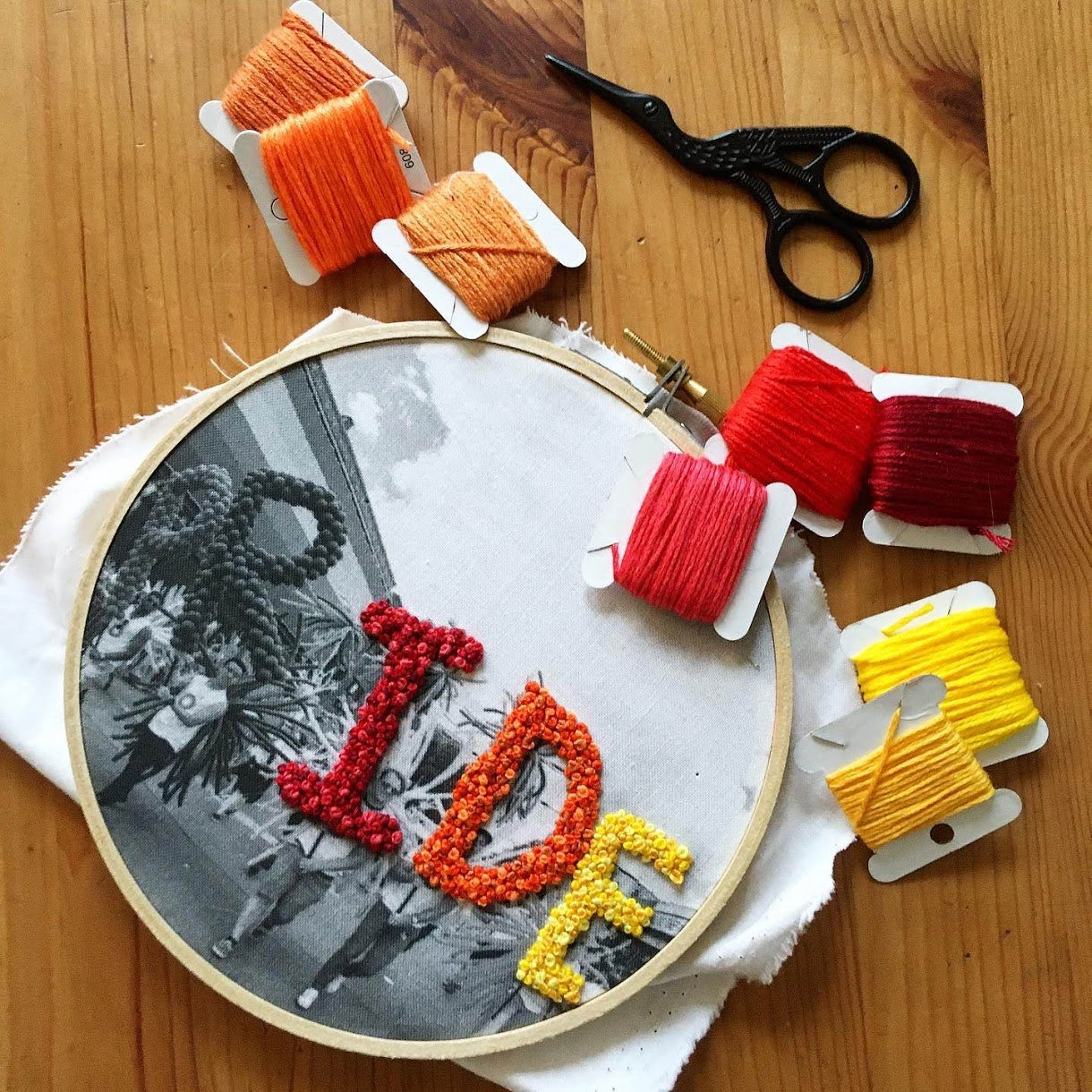 LAST CHANCE - Pride - Embroidery Kits by Le Comptoir