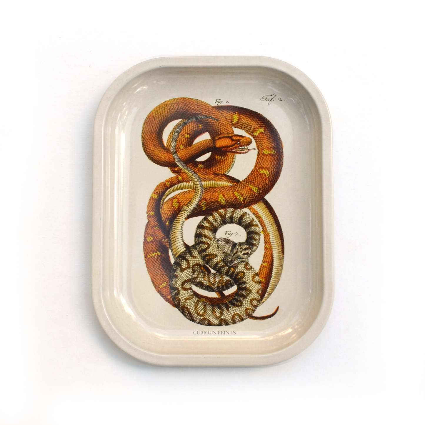 Snake Metal Notions or Ritual Tray