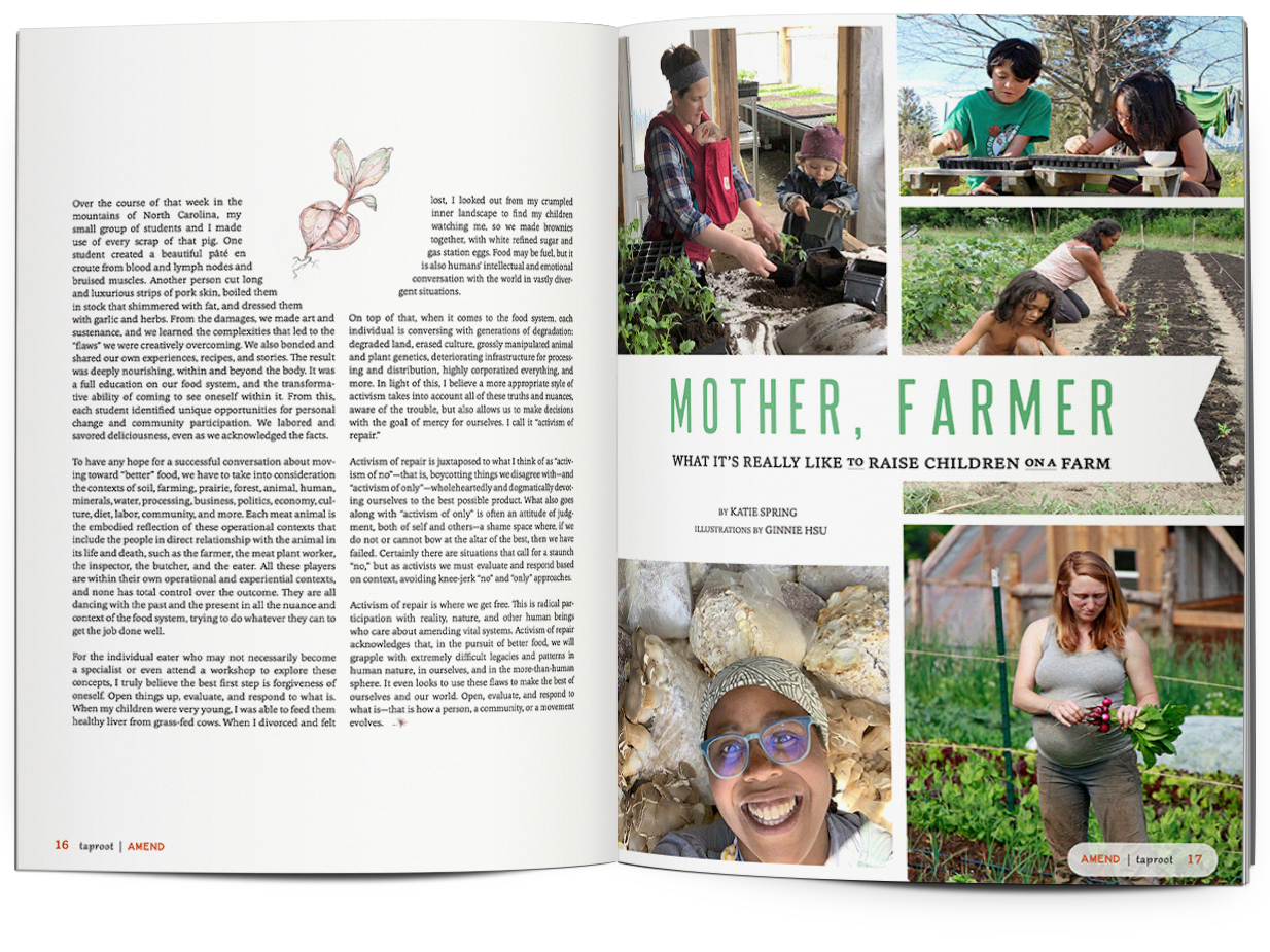 Taproot Issue 53 :: AMEND
