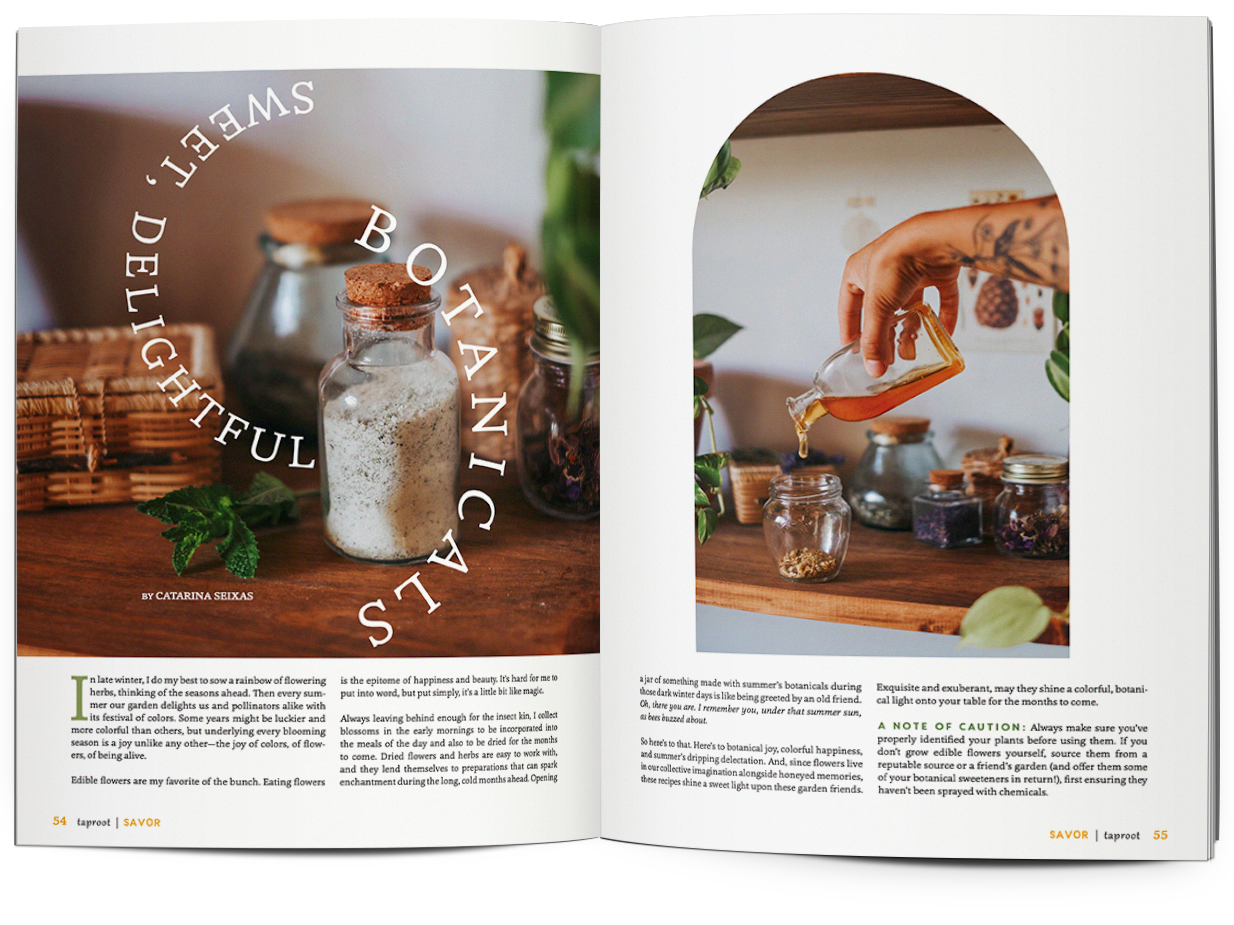 Taproot Issue 52 :: SAVOR