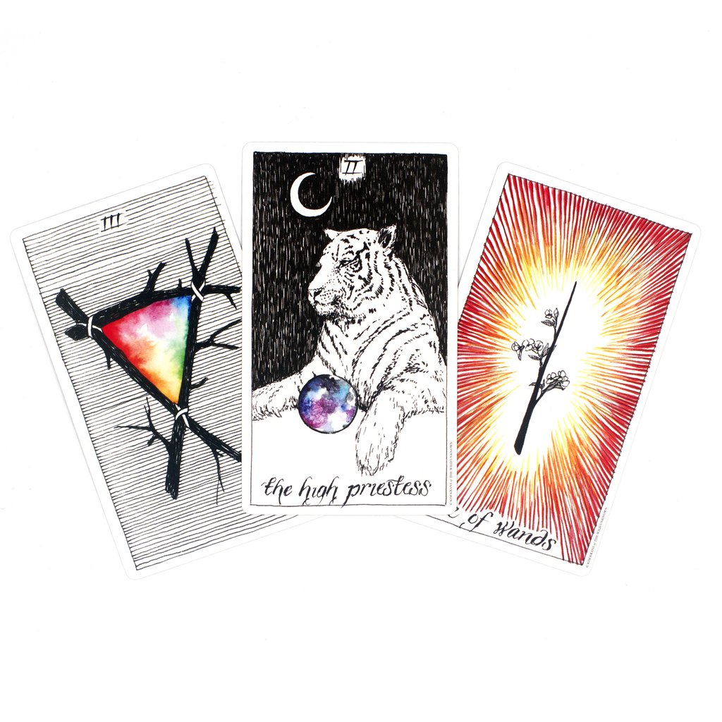The Wild Unknown Tarot Deck and Guidebook Boxed Set