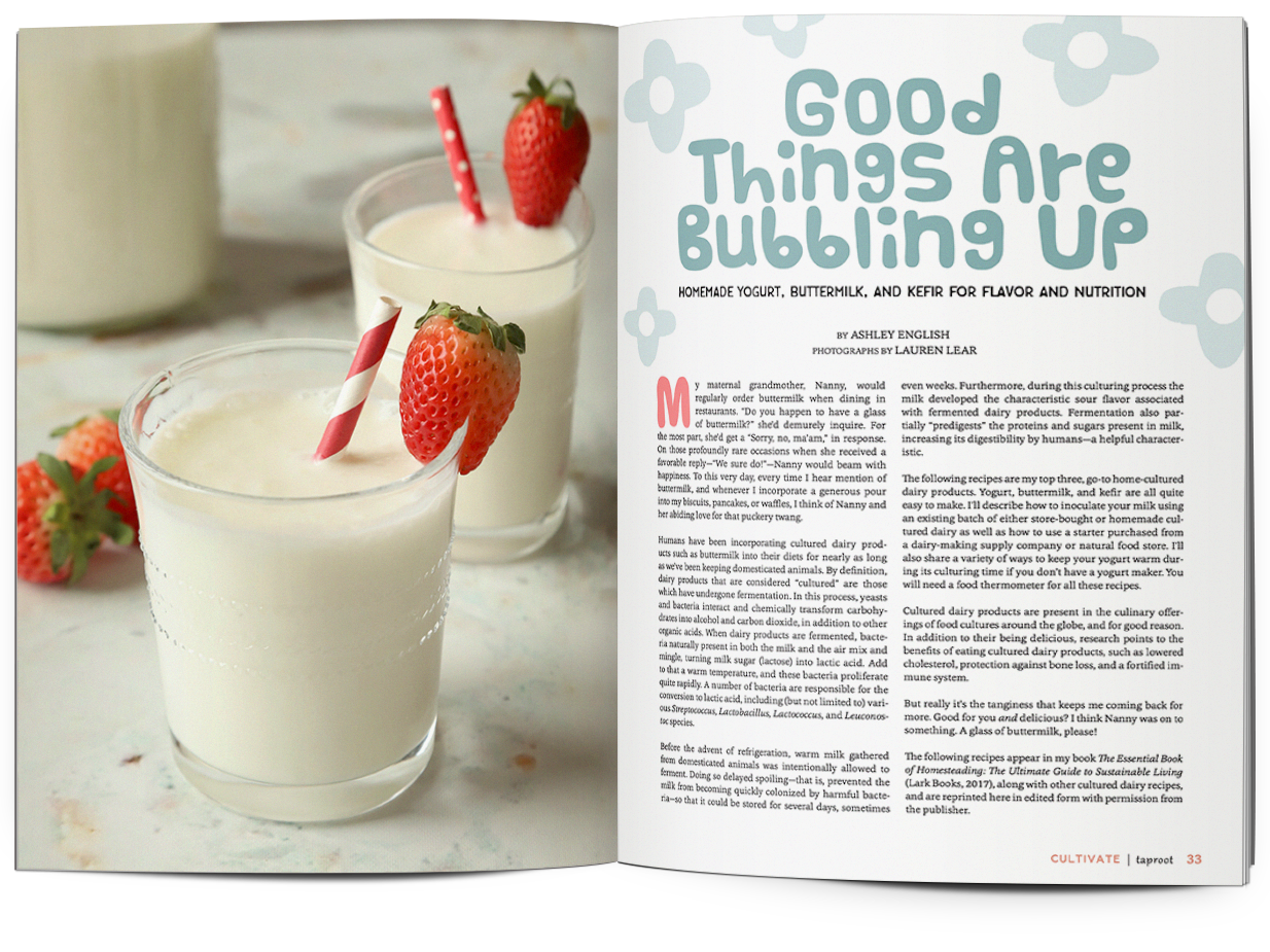 Taproot Issue 56 :: CULTIVATE