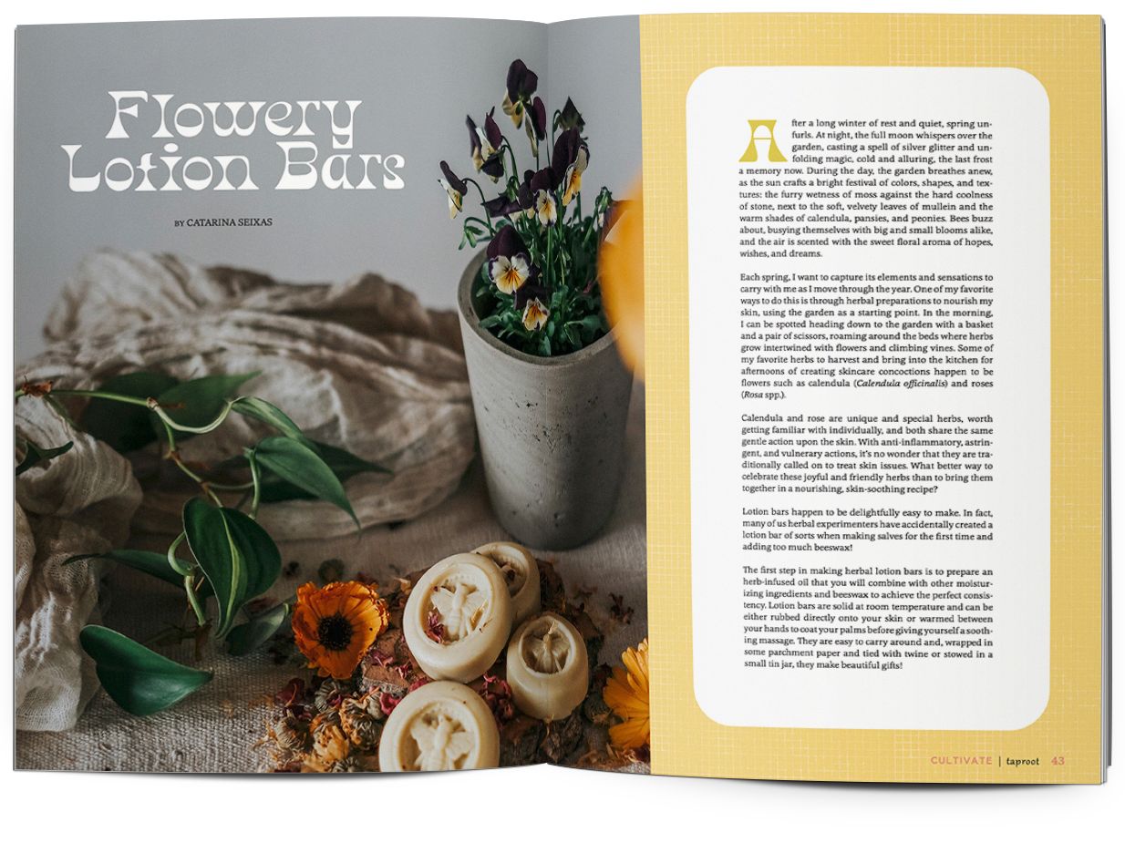 Taproot Issue 56 :: CULTIVATE