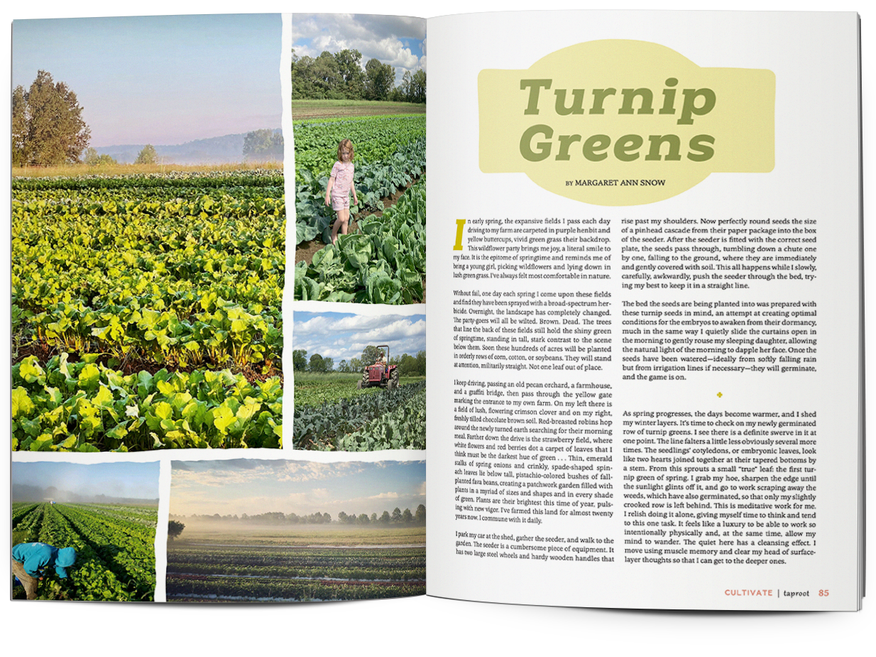 Taproot Issue 56 :: CULTIVATE