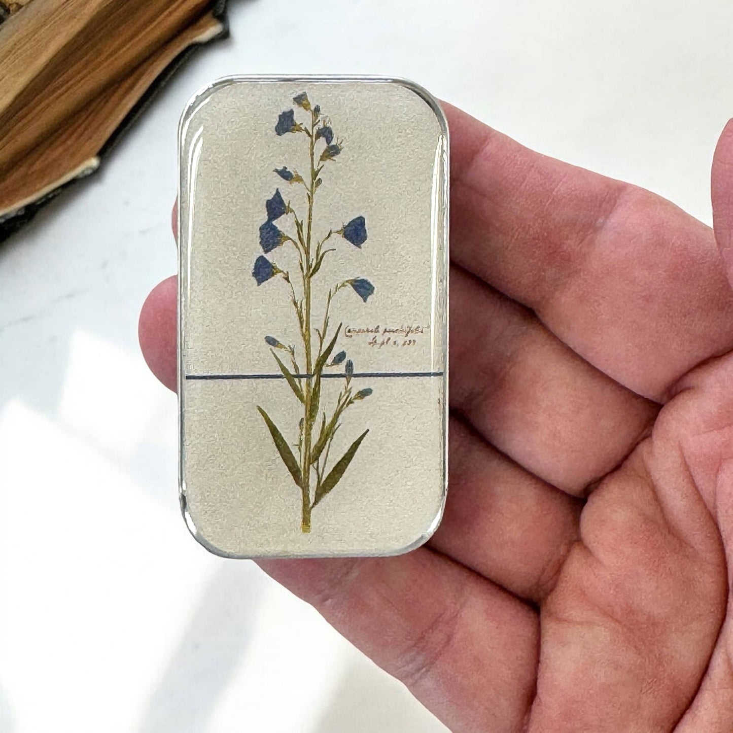 Bellflower Notions Tin: Large