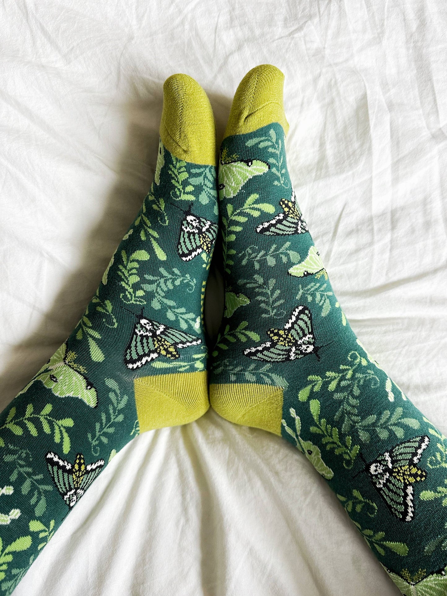 Moth Garden Socks | unisex | witchy | moths