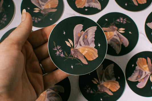 Wildflower Moth 3"Vinyl Sticker