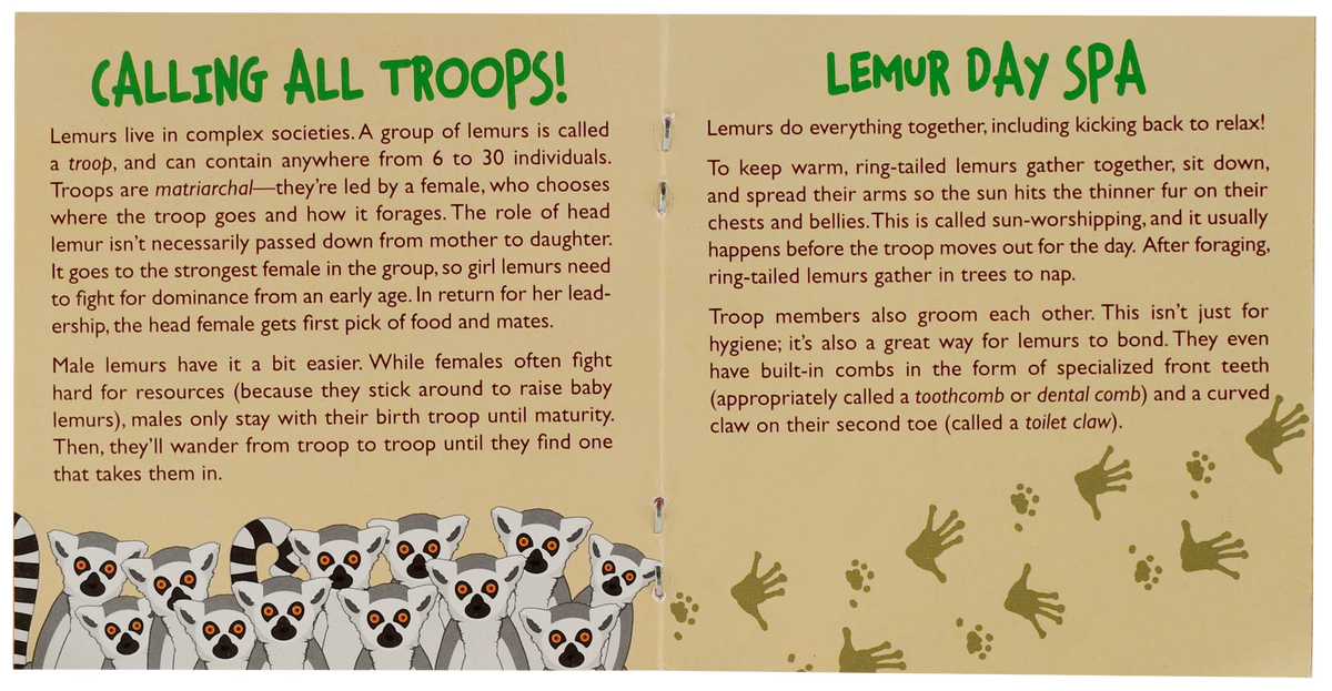 Hug a Lemur Kit