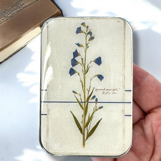 Bellflower Notions Tin: Large
