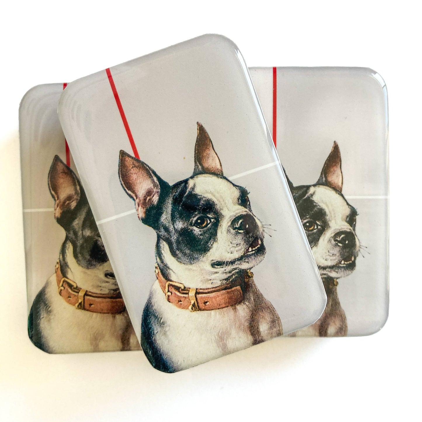 Boston Terrier notions tin: Large tin