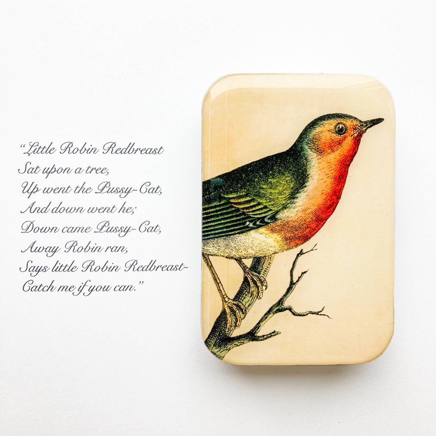 Robin Notions tin (020): Large