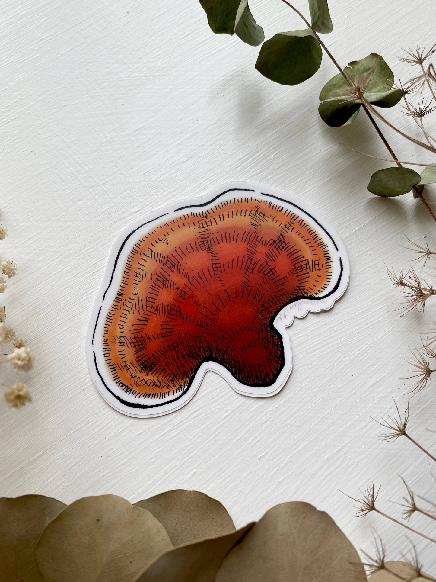 Reishi Mushroom Sticker