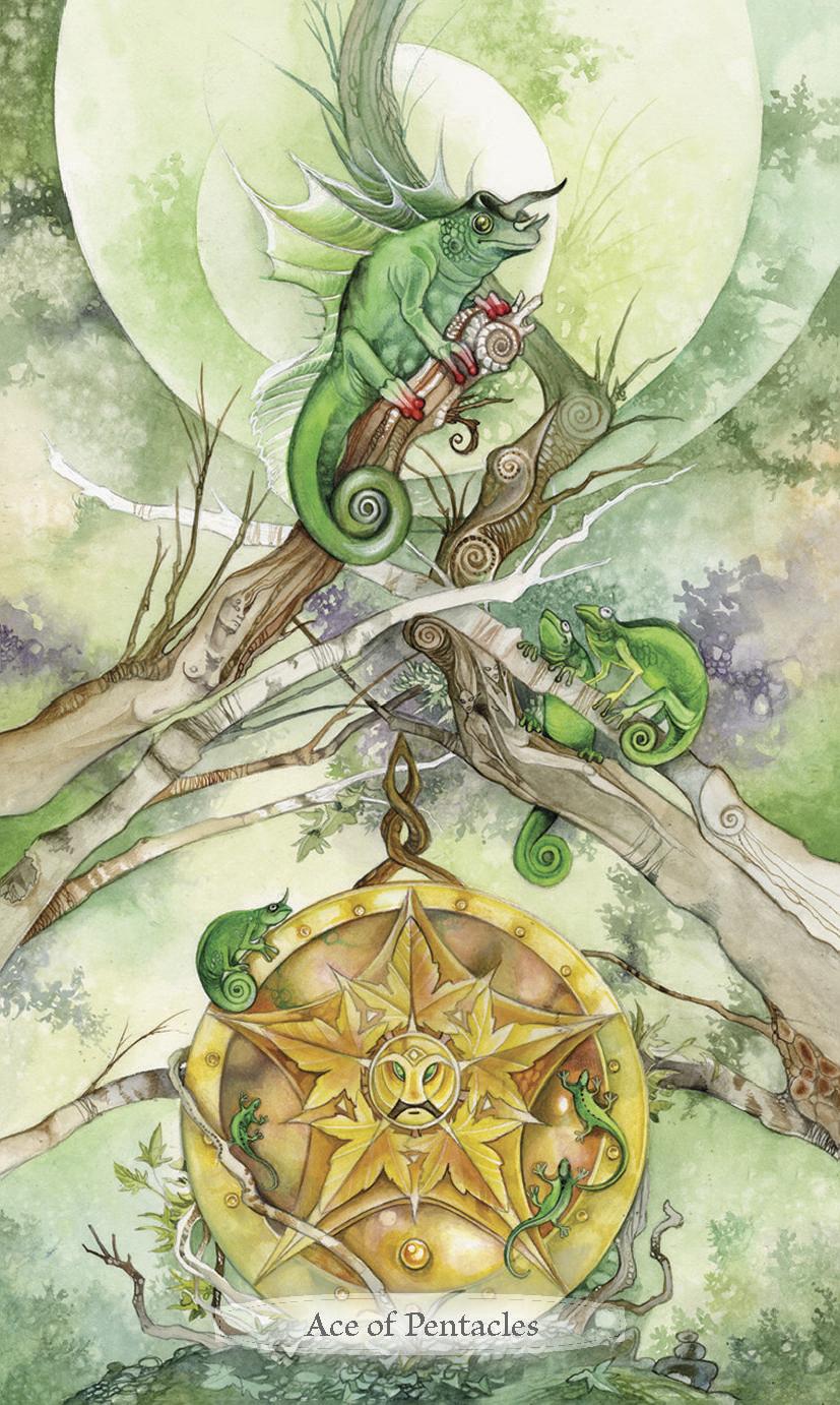 Shadowscapes Tarot Deck