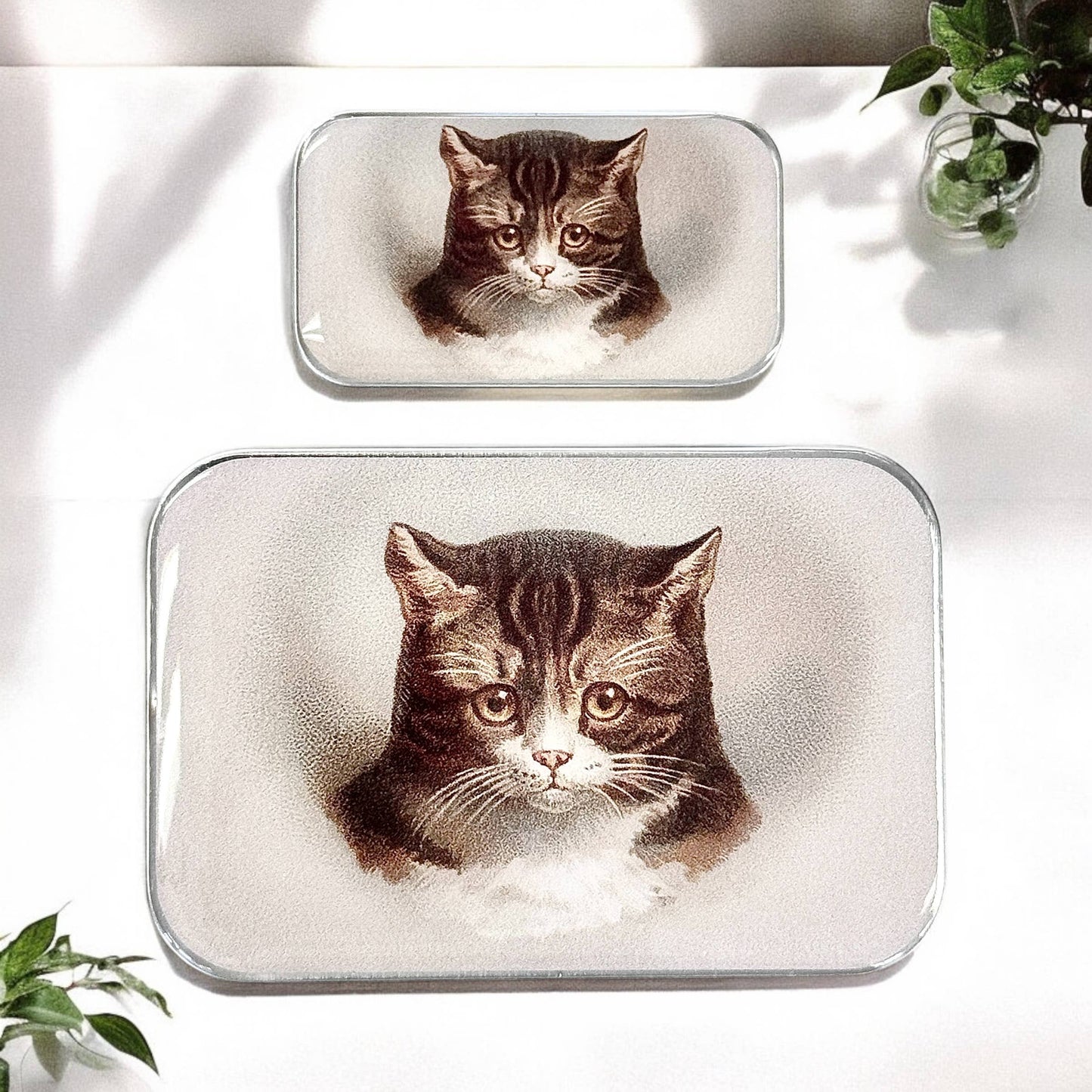 Cat Notions Tin (Handcrafted, Resin Coated): Large