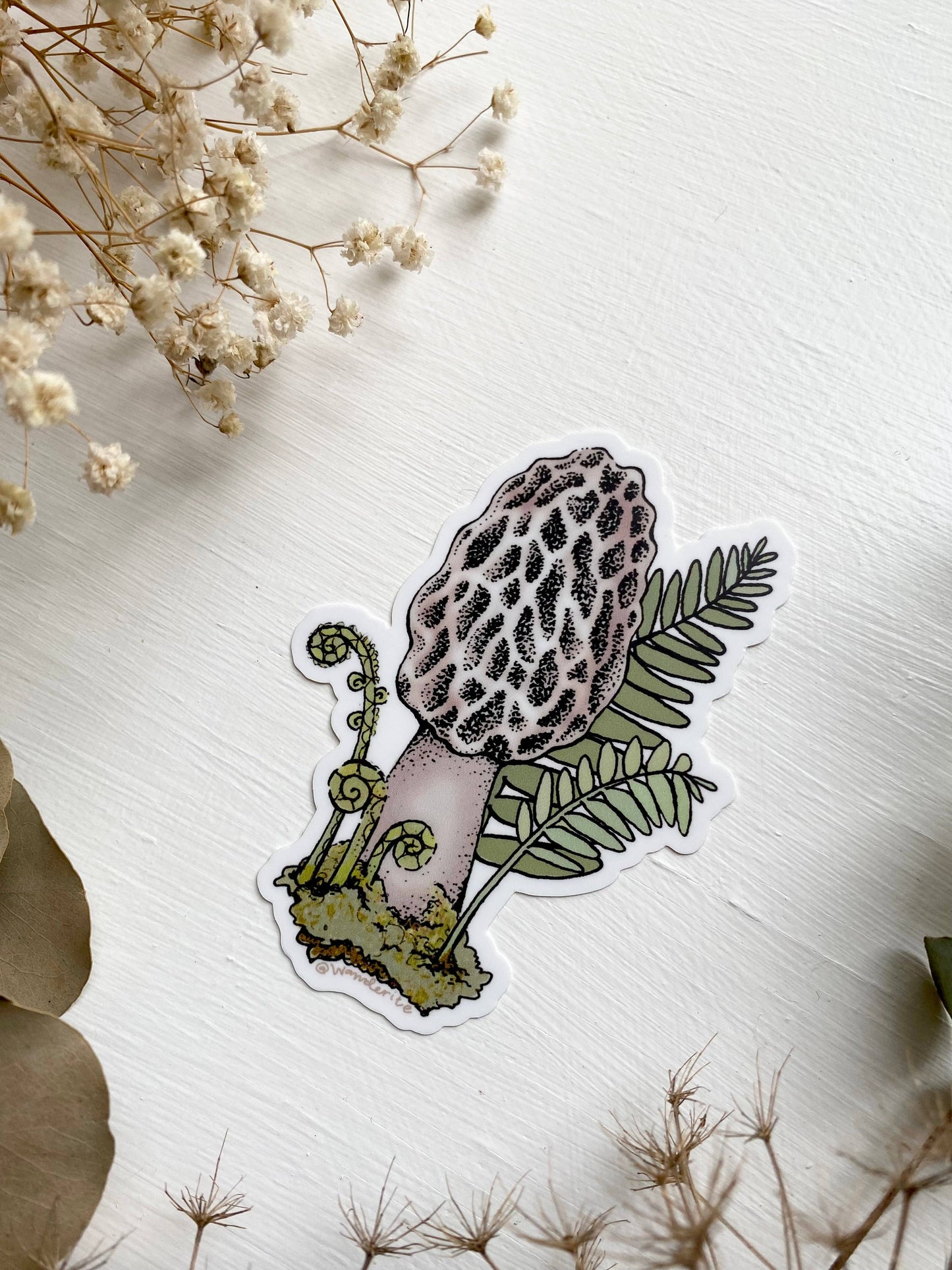 Morel Mushroom Sticker