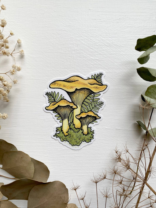 Chanterelle Mushroom Sticker