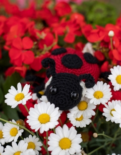 Ava the Ladybird Crochet Kit