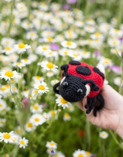 Ava the Ladybird Crochet Kit