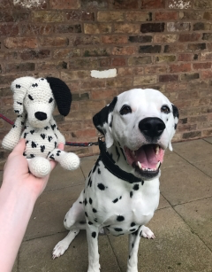 Mark the Dalmatian Crochet Kit