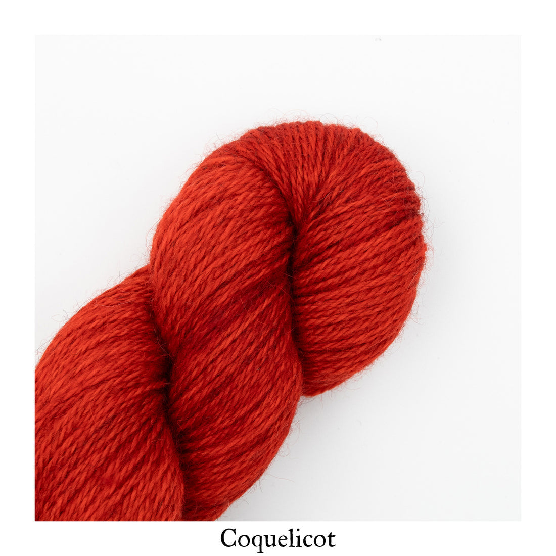 La Bien Aimée Corrie Worsted