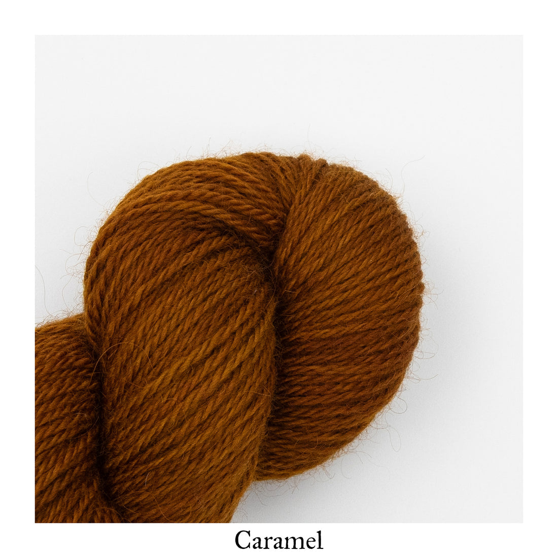 A close-up image of a skein of La Bien Aimee worsted weight yarn in a brown color labeled ‘Caramel’ against a white background.
