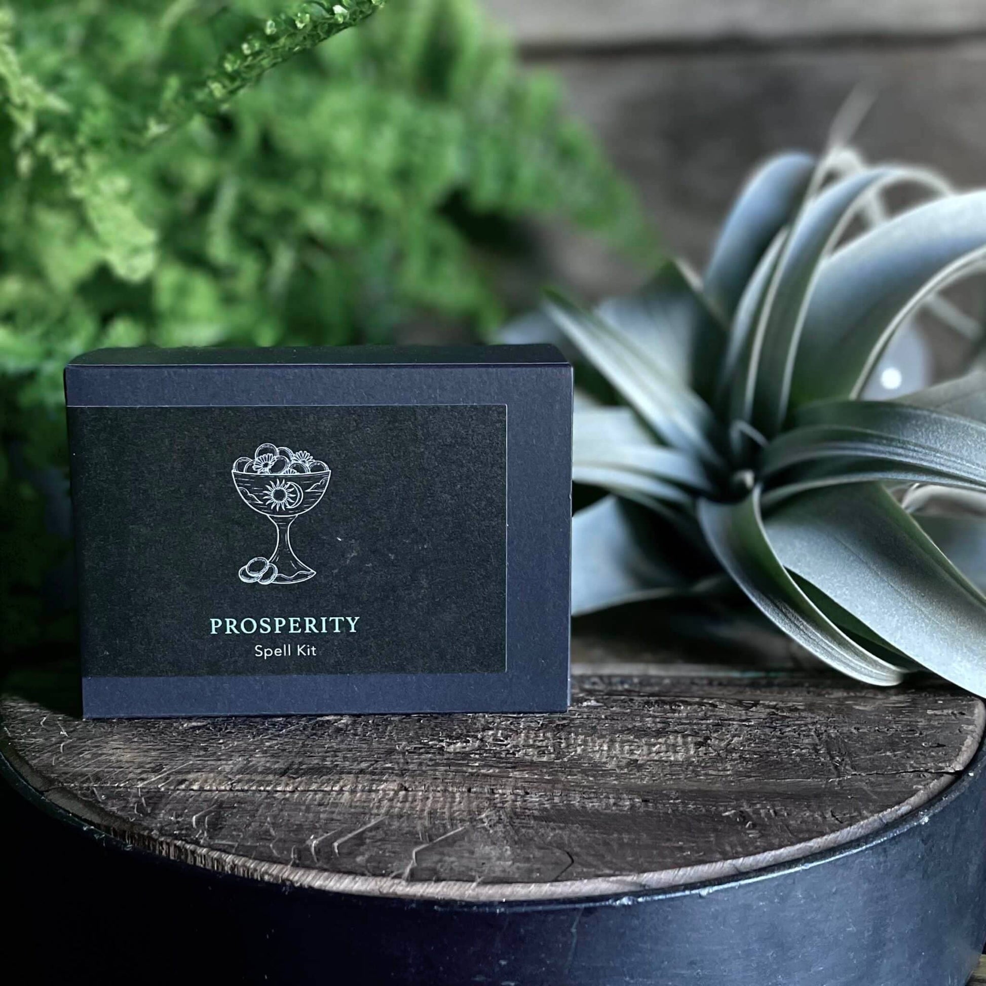 Prosperity Spell Kit by Ritualcravt - Matte black box with the text "Prosperity Spell Kit" sitting on a wooden table next to an air plant. Above the text on the label is an illustration of a chalice with a moon and sun emblem. 