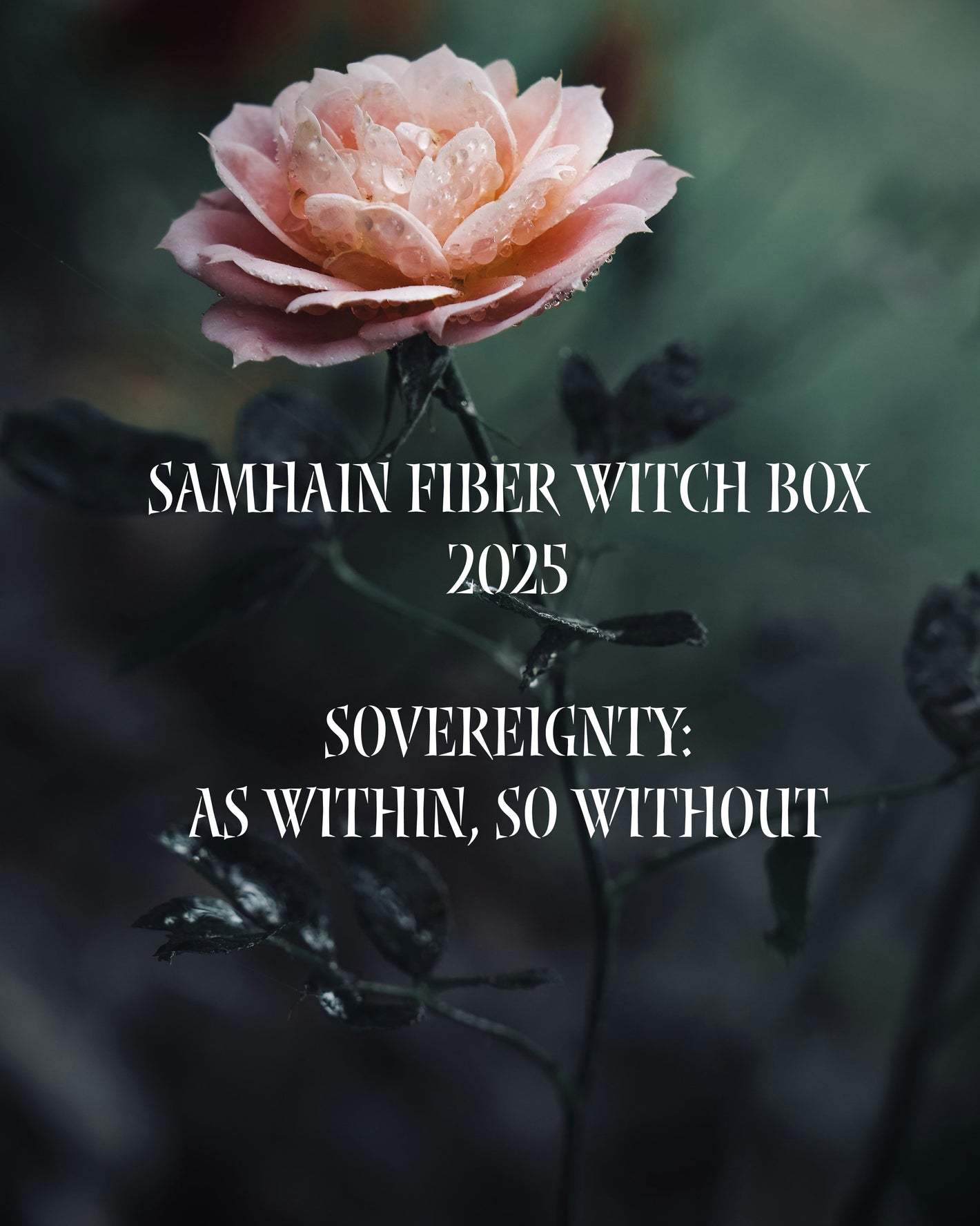 Pink rose with text about a Samhain Fiber Witch Box 2025 theme on a dark background