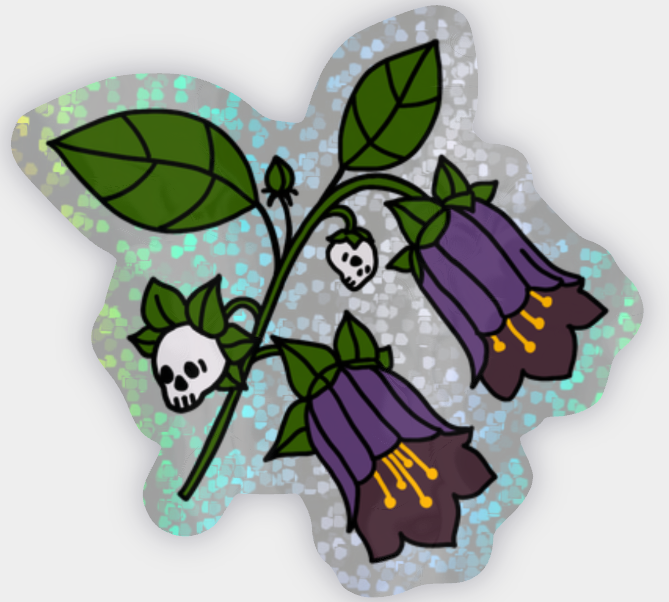 Exclusive 2026 Samhain/Halloween Fiber Witch Box!