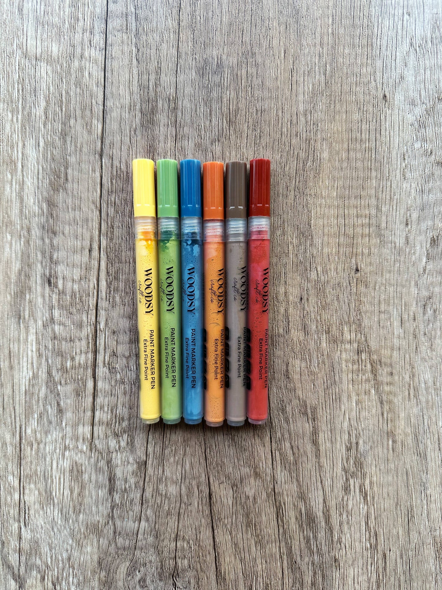 Paint Marker Earthy Set