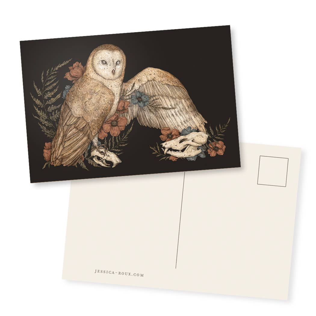 Barn Owl Postcard 4” x 6”