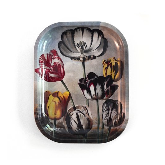 Small Metal Vintage Botanical Tulip Trinket Tray