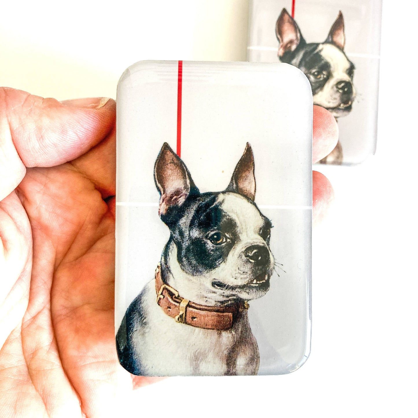 Boston Terrier notions tin: Large tin