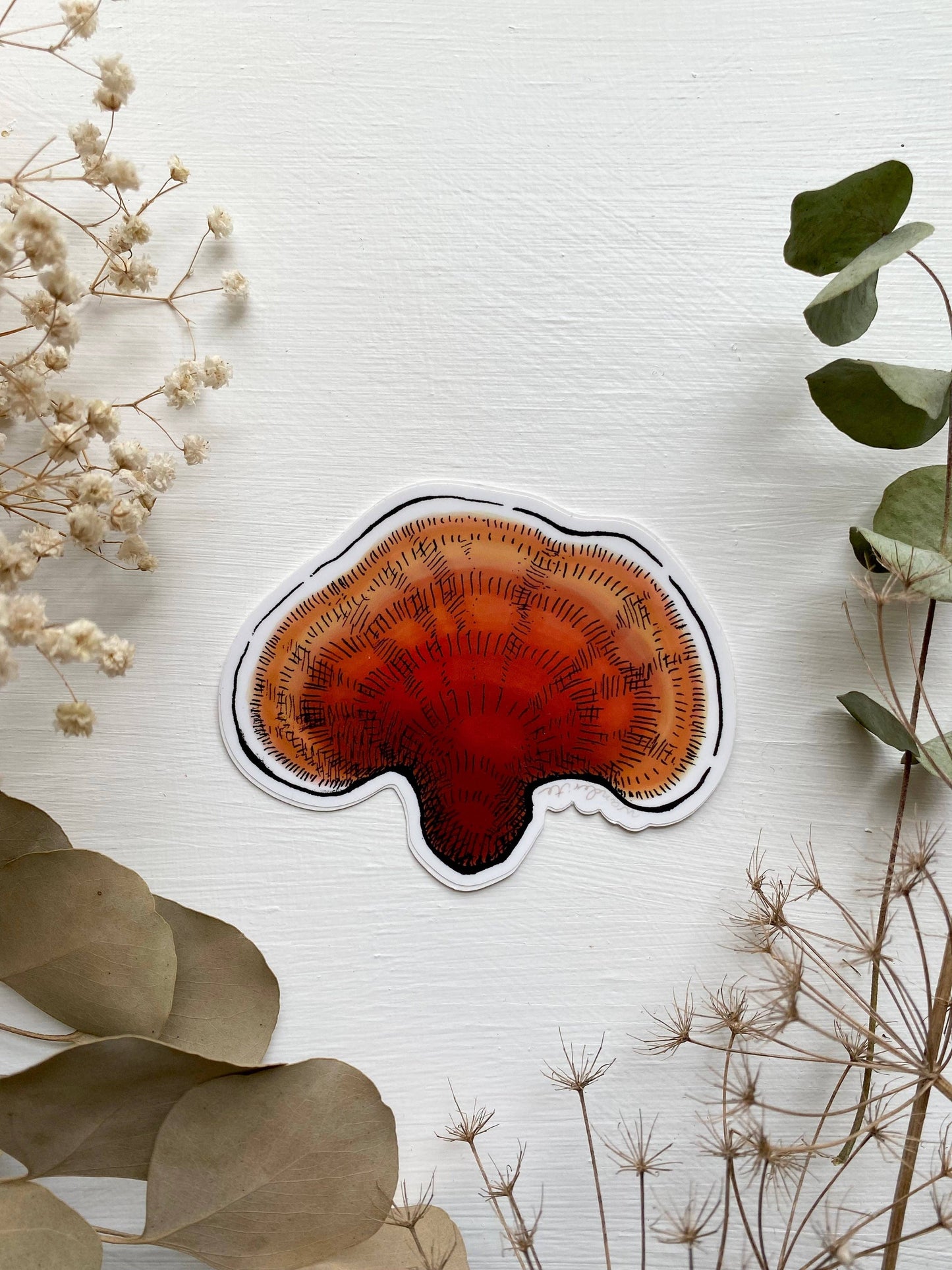 Reishi Mushroom Sticker