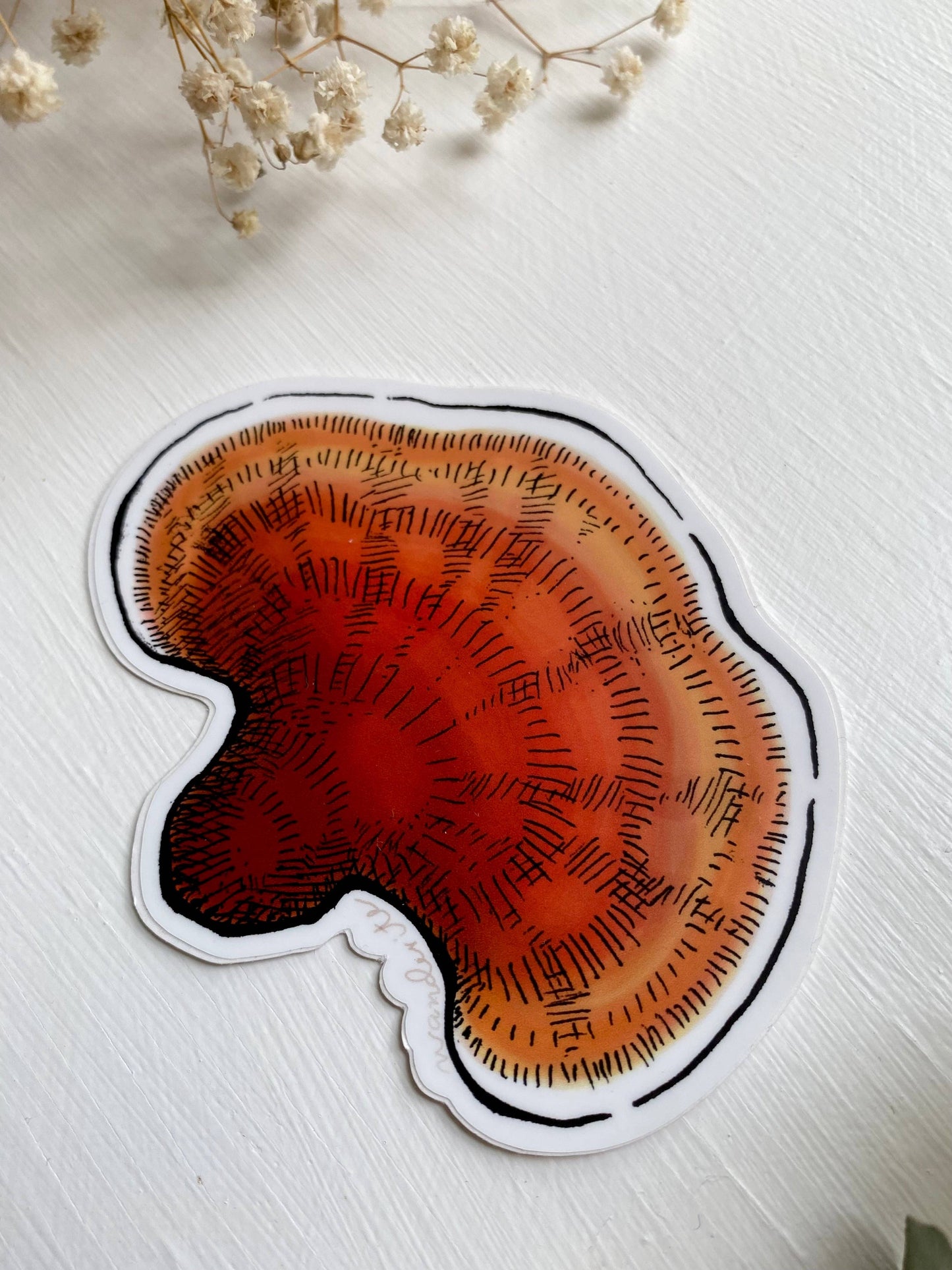 Reishi Mushroom Sticker