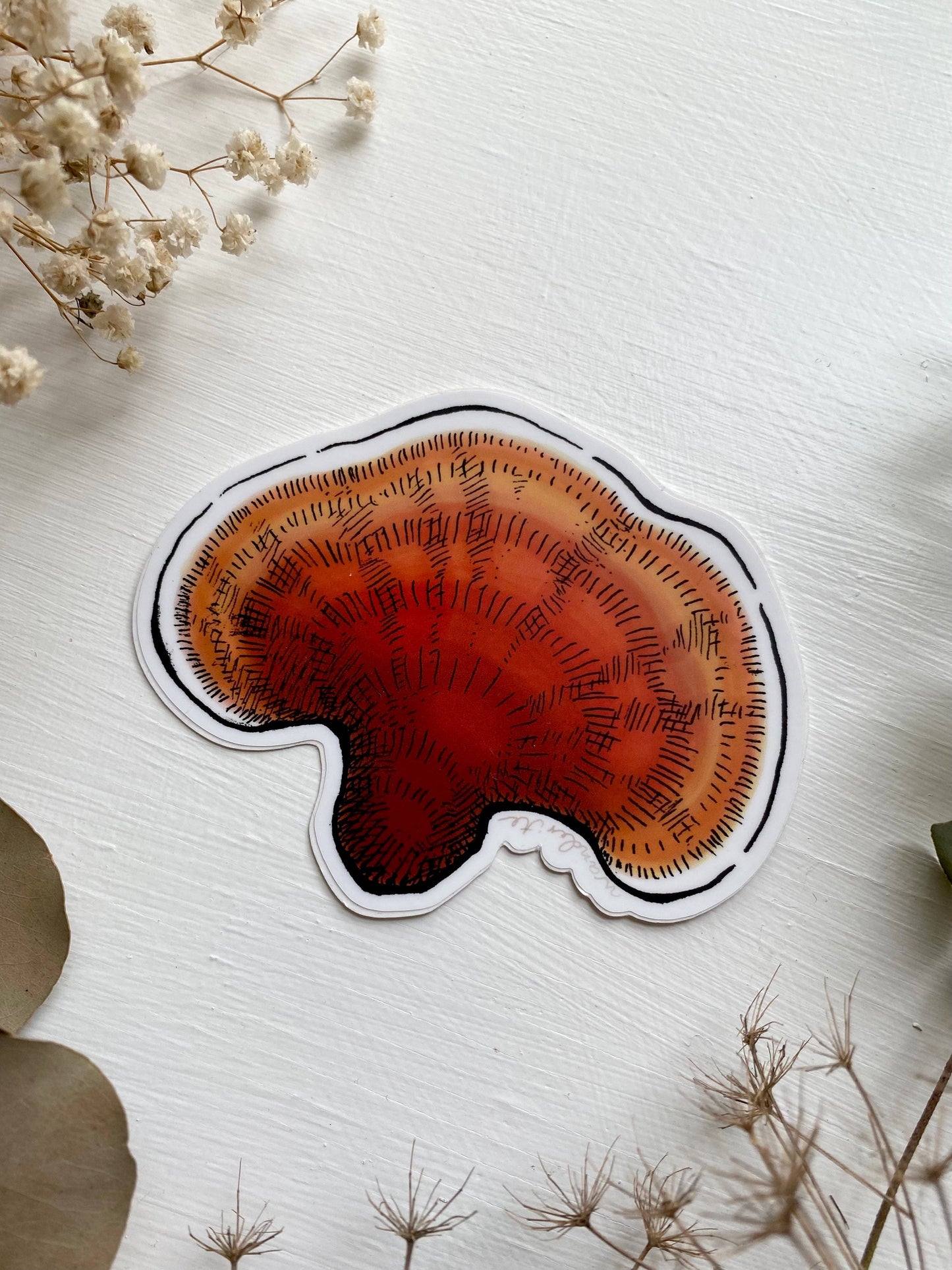 Reishi Mushroom Sticker