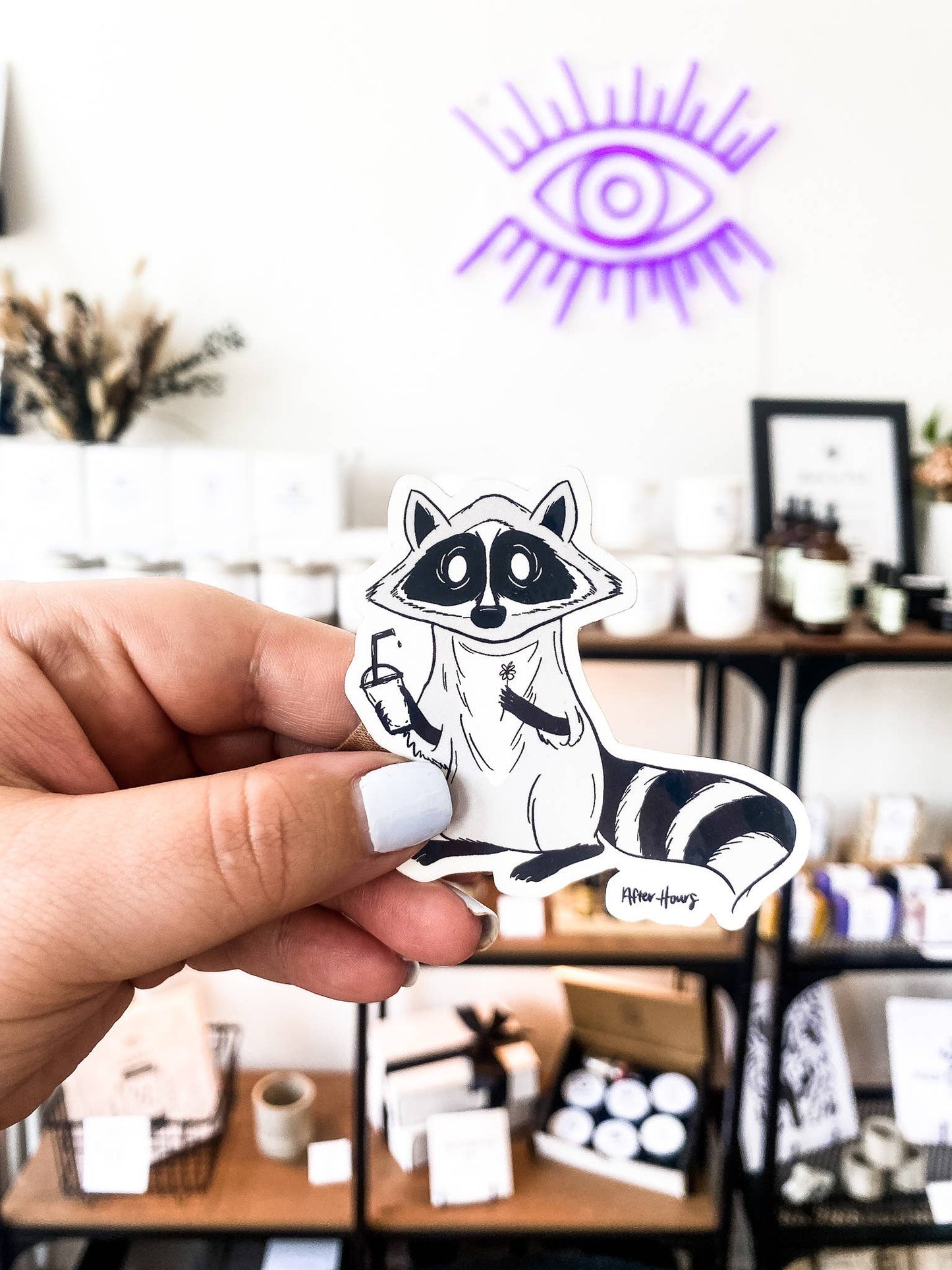 Raccoon Sticker