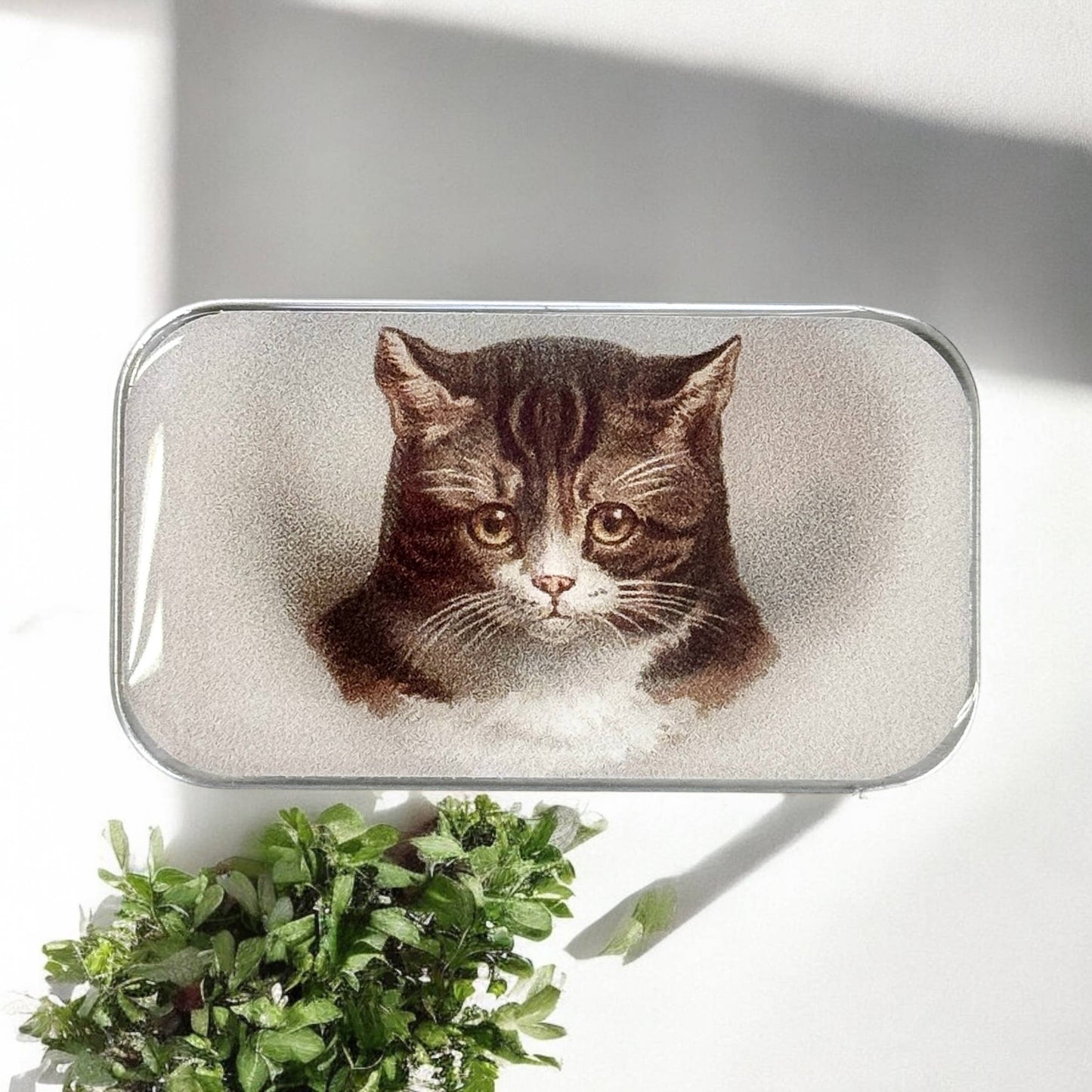 Cat Notions Tin (Handcrafted, Resin Coated): Large