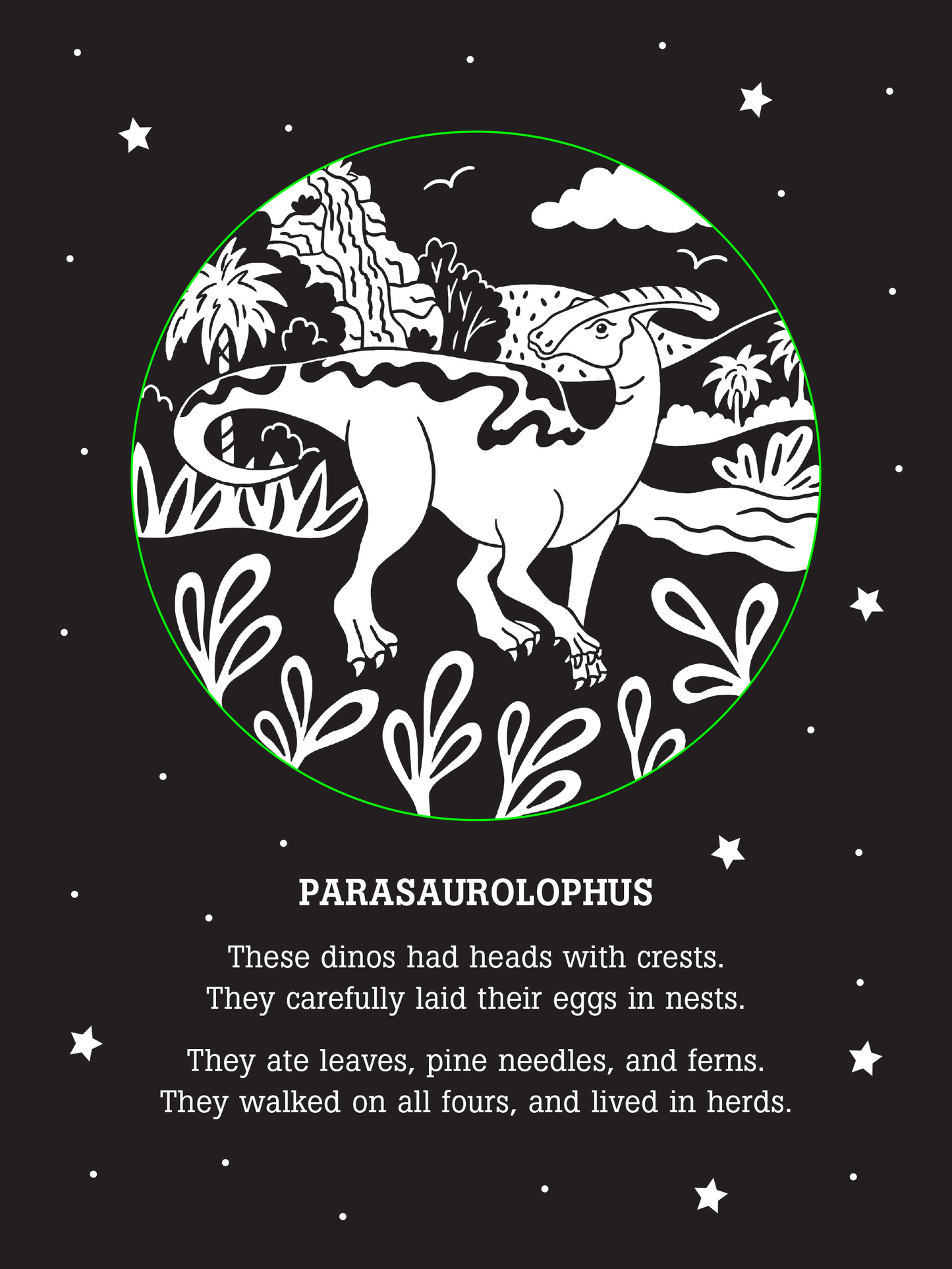 Dinos After Dark Bedtime Shadow Book