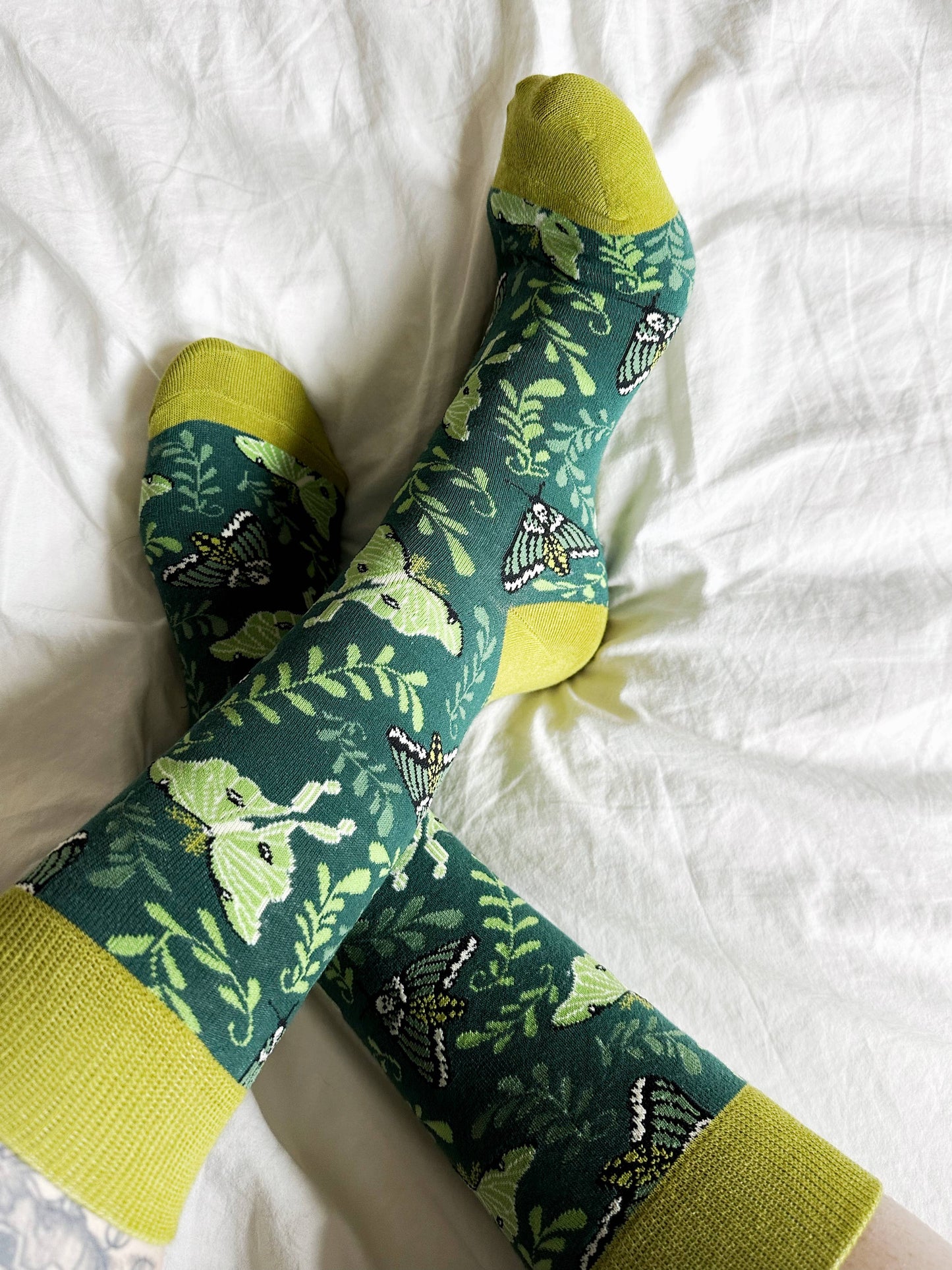 Moth Garden Socks | unisex | witchy | moths